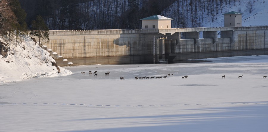 ヒャーっ寒そう！！乙女湖の厳冬期